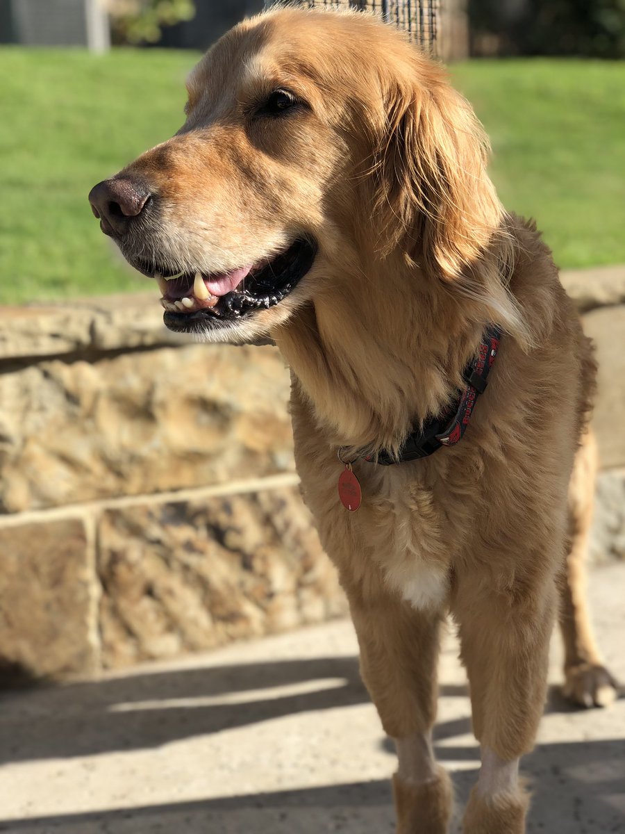 Robert Wiley tweet media