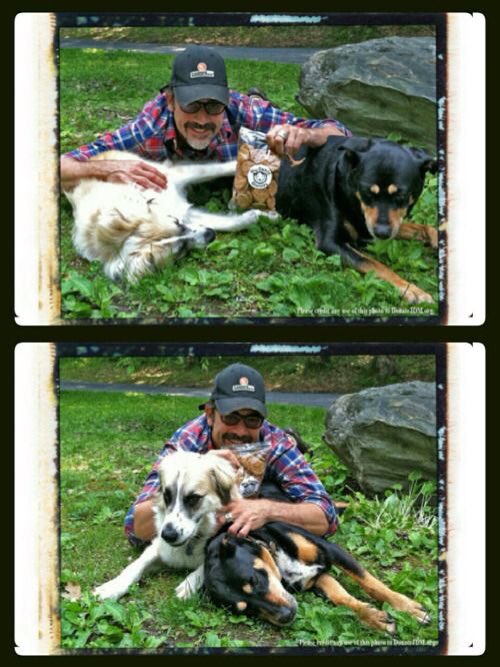 LoveMyDogs16's tweet photo. This man is one of the biggest animal lovers. And we love him for that. @JDMorgan #JeffreyDeanMorgan #furbabies #lovemydogs #celebdogs #DogsLife #DogLover https://t.co/WiWaW2IwtQ