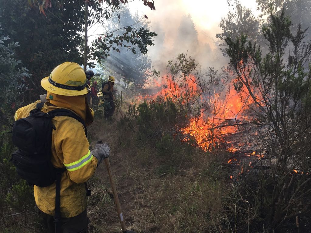 conaf_minagri's tweet photo. Junto a vecinos, bomberos y funcionarios municipales, CONAF realiza el taller  “Comunidad Preparada frente a los Incendios Forestales” en la localidad rural de Malvilla, San Antonio. El objetivo es que los pobladores generen acciones de autoprotección en un área de alto riesgo. https://t.co/KmkDsOmfCj