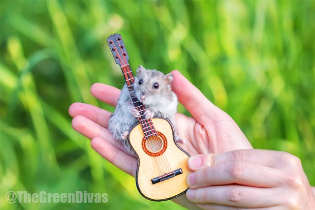 GDGreenDude's tweet photo. i didn't know mice could play guitar!? Be cool like mariachi mouse &amp; catch up on the latest GD podcasts > https://t.co/TqUFBX35LH >  #podcast #weekend #saturday #saturdaymotivation #listening #itunes #spotify #app https://t.co/zLQ4WoR30V