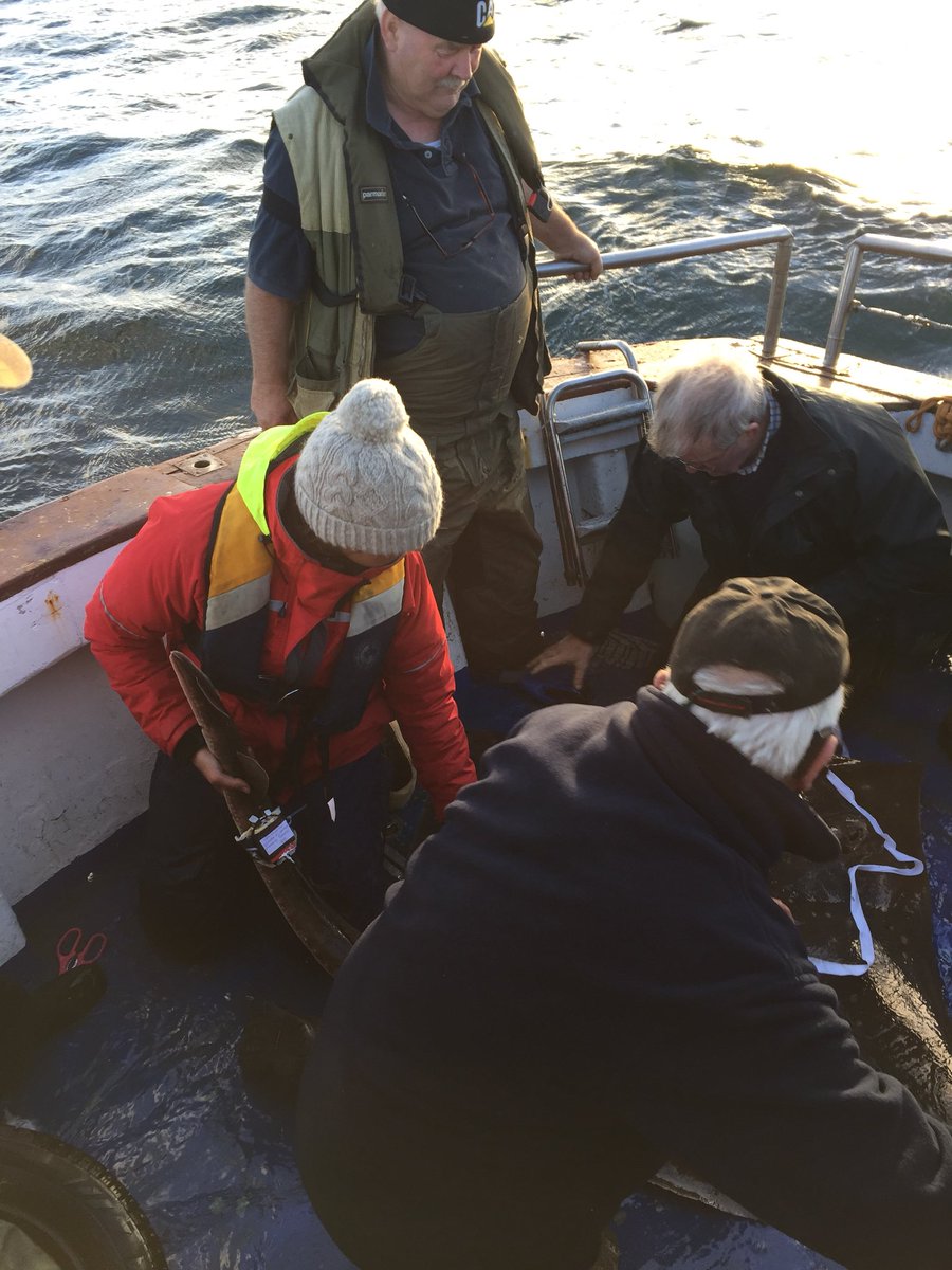 haleydolton's tweet photo. Ace day tagging skate with @AlexGrace1008 off #Ireland!! @PelagicLabQUB @nicklpayne @sunfishresearch @DrMJWitt #TheHelm https://t.co/ZCtJ0fvuVz