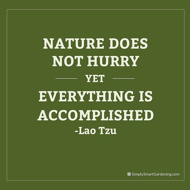 Jeanka01's tweet photo. Reposting @simplysmartgardening:
"This is one of my favorite #naturequotes! Please ❤️ if you like the #quote.⠀
⠀
It's a reminder that the pace of the natural world is a gift to us all. Whether to unwrap that gift is a choice we all make." https://t.co/ZRlzM4WGVe