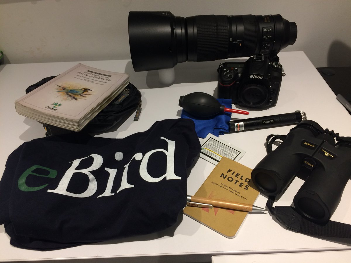 CCADSICA's tweet photo. Binoculares, cámara y la camiseta para participar en el October Big Day, donde se cuentan las aves a nivel mundial y se suben los datos a la plataforma de ebird. #eBird #thecornelllab #OctoberBigDay #fromColombia #birdwatching https://t.co/laJM8mLSDT https://t.co/hLUip5oPOx