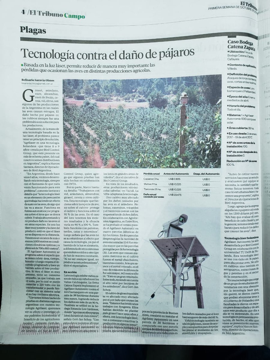 Bird Argentina tweet media