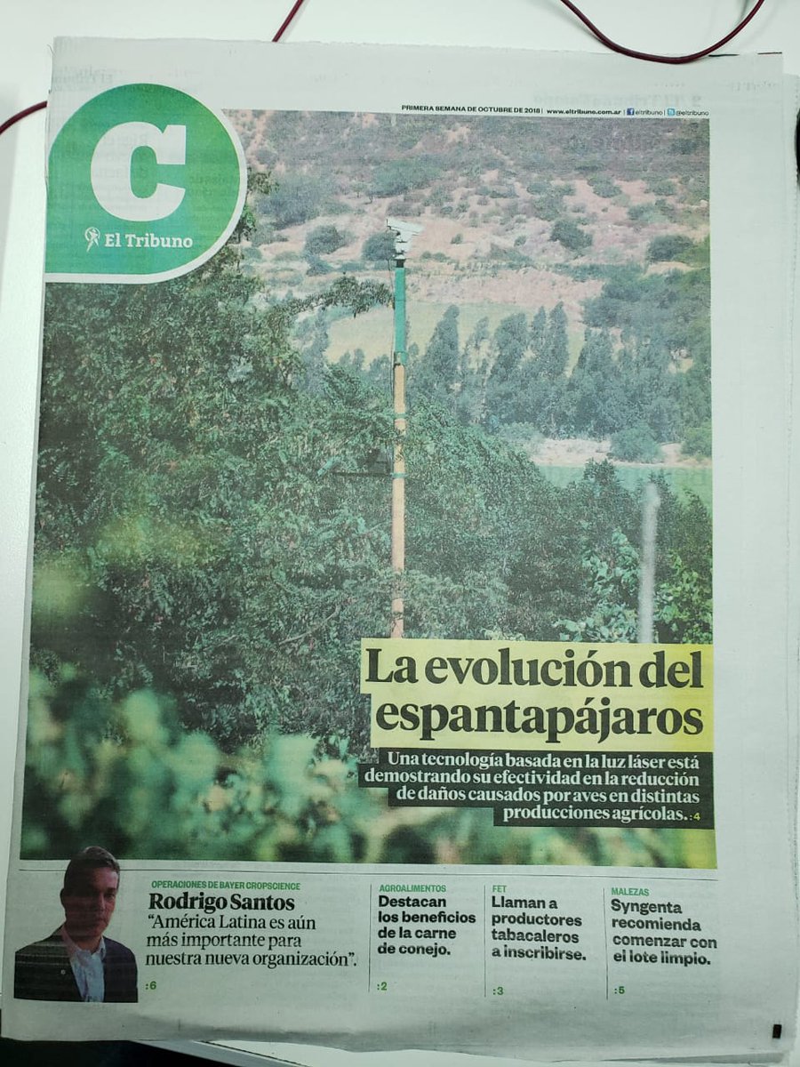Bird Argentina tweet media