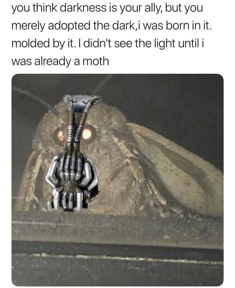 moth00892258's tweet photo. https://t.co/OoxDIqWxyZ
