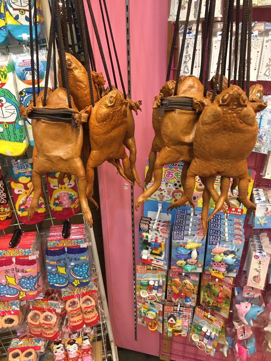 HEMIROCK666's tweet photo. オオヒキガエルポシェット？ウォレット？駆除して活かすは理解できるけど需要あるのかな🤔
¥2,000也ww https://t.co/E2uBhdbaW9