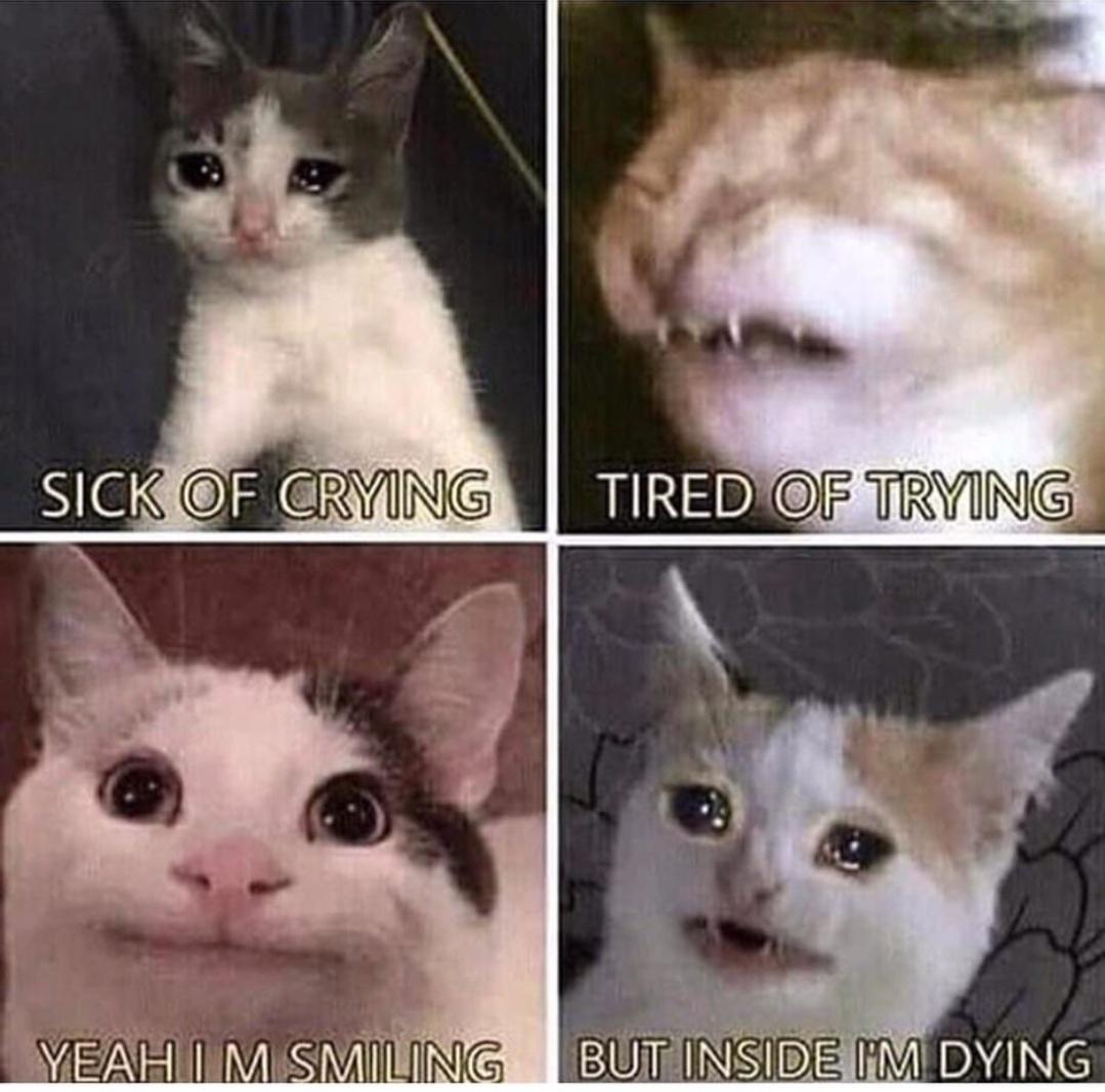 Lúthien tweet media