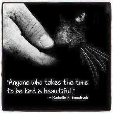 mandyjc79's tweet photo. https://t.co/rx4IDZF2BQ