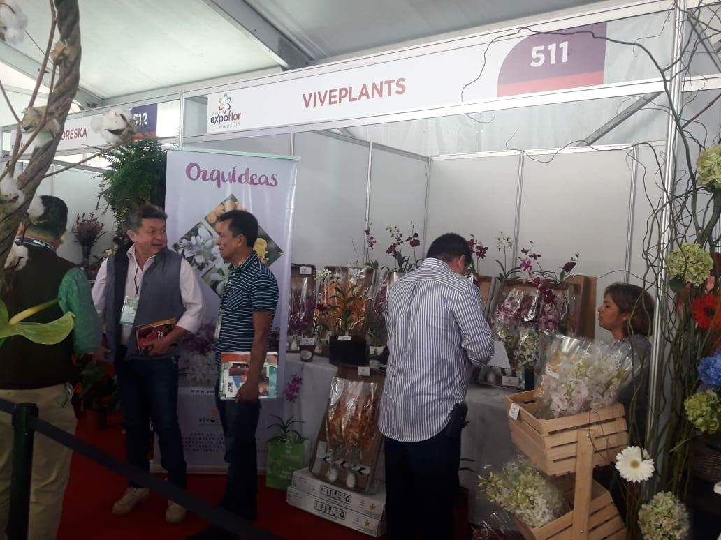 ExpoFlorVG's tweet photo. @Viveplants se encuentra presente en Expo Flor México 2018. ¡Visita su stand! Te esperamos hoy hasta las 6 de la tarde. https://t.co/SOHqQAVUyG