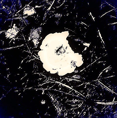frede_kenter's tweet photo. Dear @knifeforkbook I am sorry I missed the readings last evening and tonite. Happy 2nd Anniversary and Happy 🦃🍲Thankgiving to Everyone 🎂🎤 I am here  in this forest with the Mushroom Beret #visualpoetics #reading #poetry #anniversary #Toronto #missing https://t.co/xr0DpGl9D1