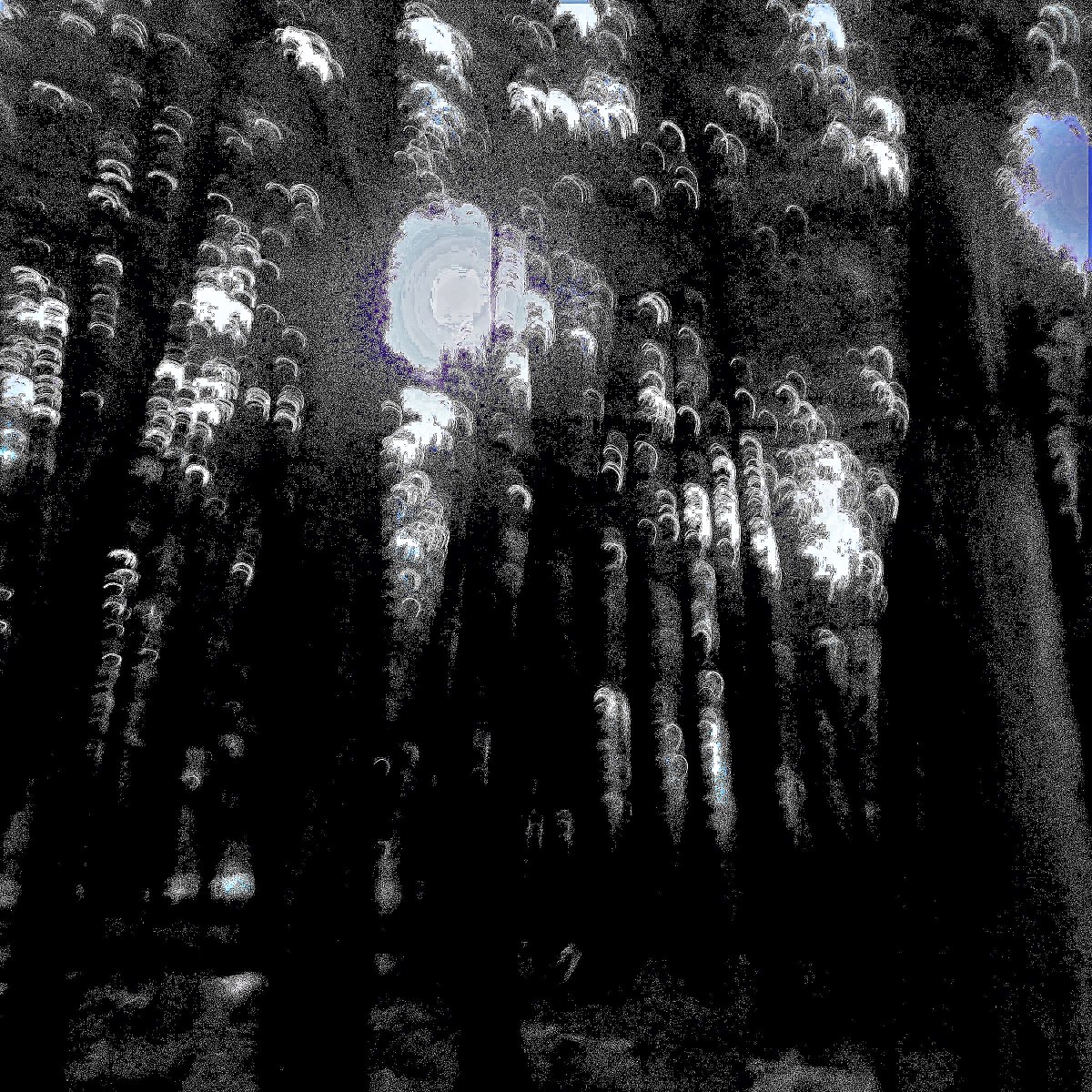 frede_kenter's tweet photo. Dear @knifeforkbook I am sorry I missed the readings last evening and tonite. Happy 2nd Anniversary and Happy 🦃🍲Thankgiving to Everyone 🎂🎤 I am here  in this forest with the Mushroom Beret #visualpoetics #reading #poetry #anniversary #Toronto #missing https://t.co/xr0DpGl9D1