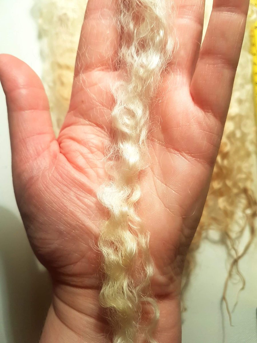 ShedSheep's tweet photo. I've now listed some gorgeous Cotswold locks. Amazing golden creamy colour. Very limited stock so get it whilst you can!
#Cotswolds #dollhair #newborn #woolweek #wool #handmadehour #onlinecraft #blythereroot https://t.co/0UursYLtSd