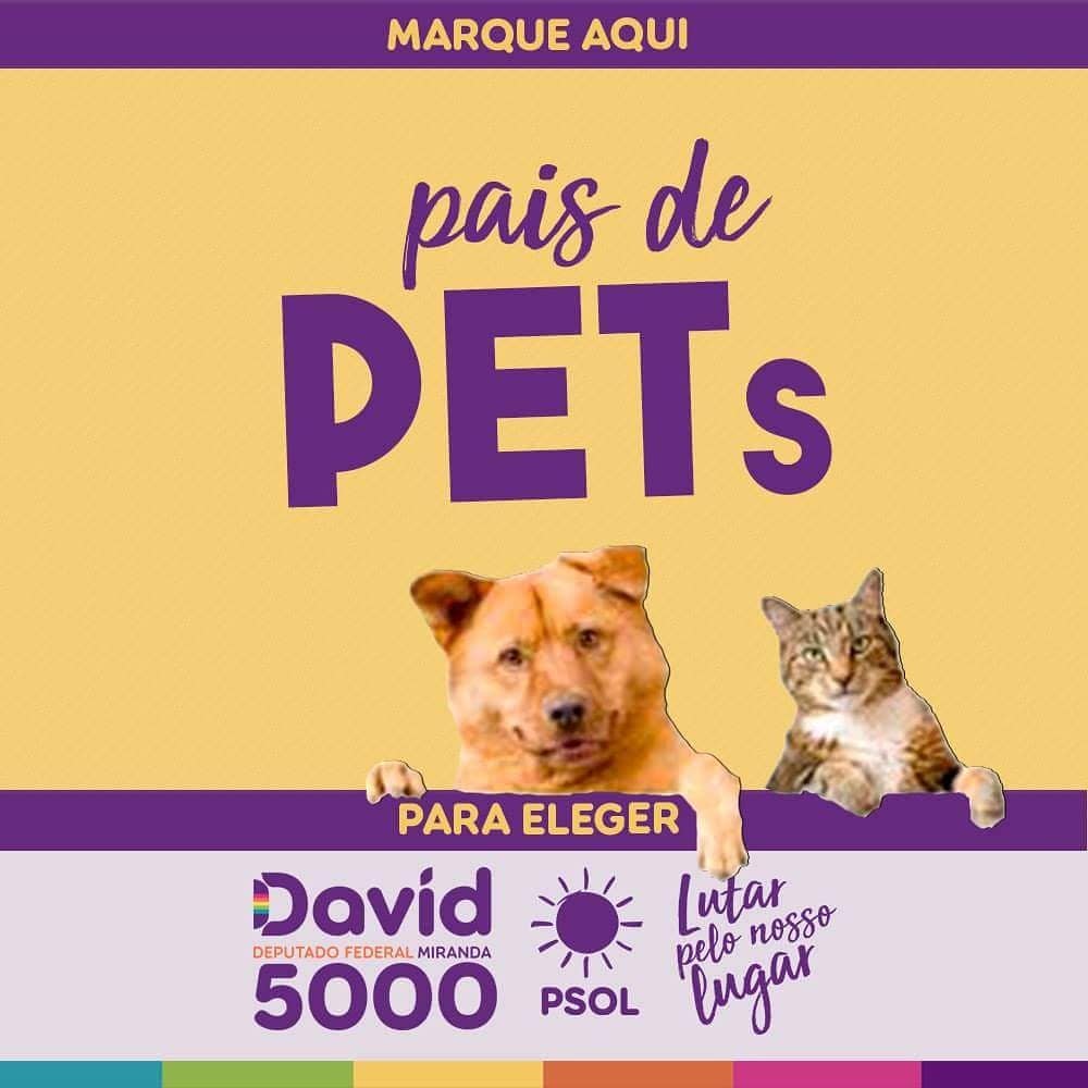 davidmirandario's tweet photo. Marque os amigos e vamos eleger #David5000DeputadoFederal!
#EleNão #BolsonaroNunca
#David5000 #DeputadoFederal
#LutarPeloNossoLugar https://t.co/ejSlIOnexn