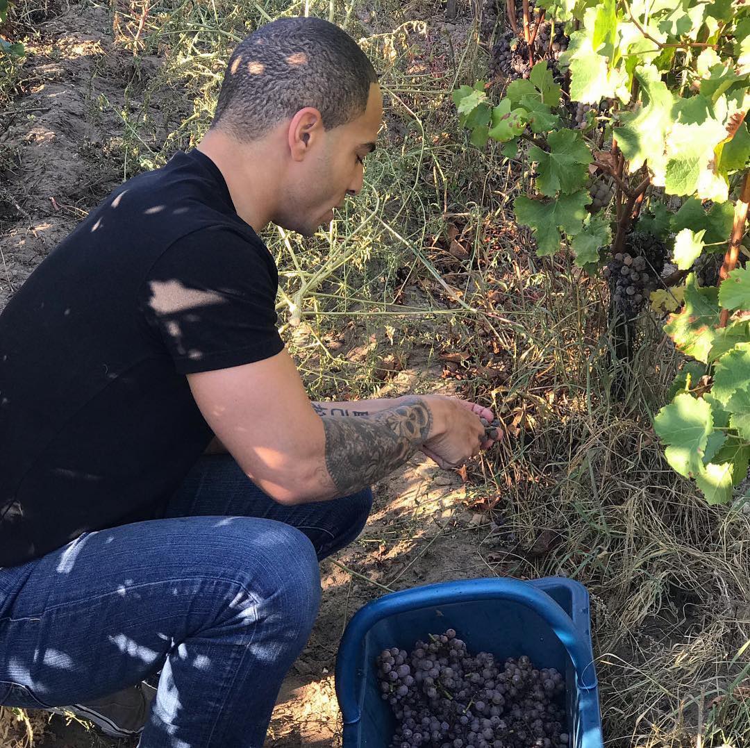 Our Wine Director and Master Sommelier <a href="/vinnychaseswine/">vinnychaseswine</a> participating in his first harvest in France at <a href="/chateaubastor/">Bastor Lamontagne</a> 🍇🍷🇫🇷
#wine #frenchwine #sauternes #semillon #sauvignonblanc #muscadelle #sommelier #mastersommelier #one65sf #winelover #winelovers