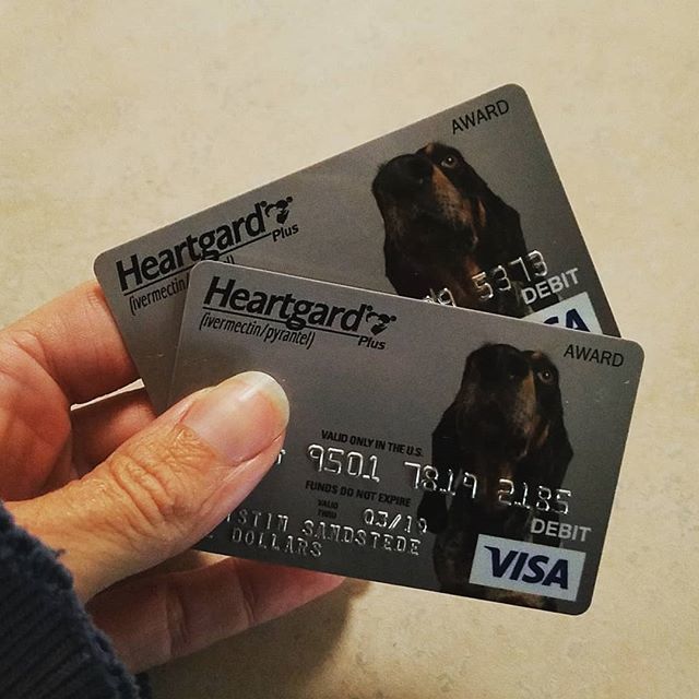 BigMooseDogTrai's tweet image. Got my Heartgard rebates in the mail, kinda wanna spend it on dog stuff!  What should I buy??!?! #heartgard #rebateprogram #dogsstuff #doggear ift.tt/2OHIrpV