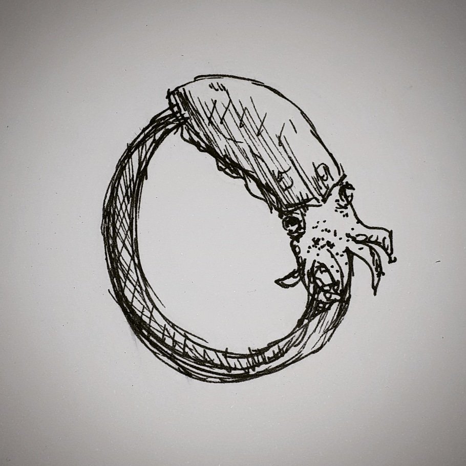 HattieHyder's tweet photo. Inktober 6 - squid ring silver jewellery design I'm working on #inktober #inktober2018 #squidring #jewellery https://t.co/xD4TQsc33G