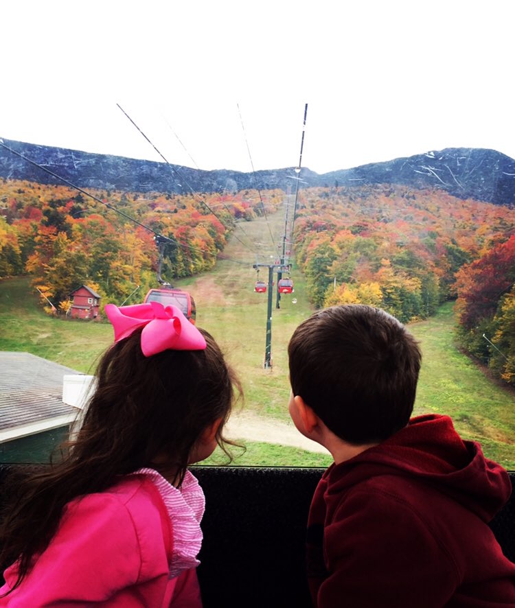 ThisIsVT tweet picture