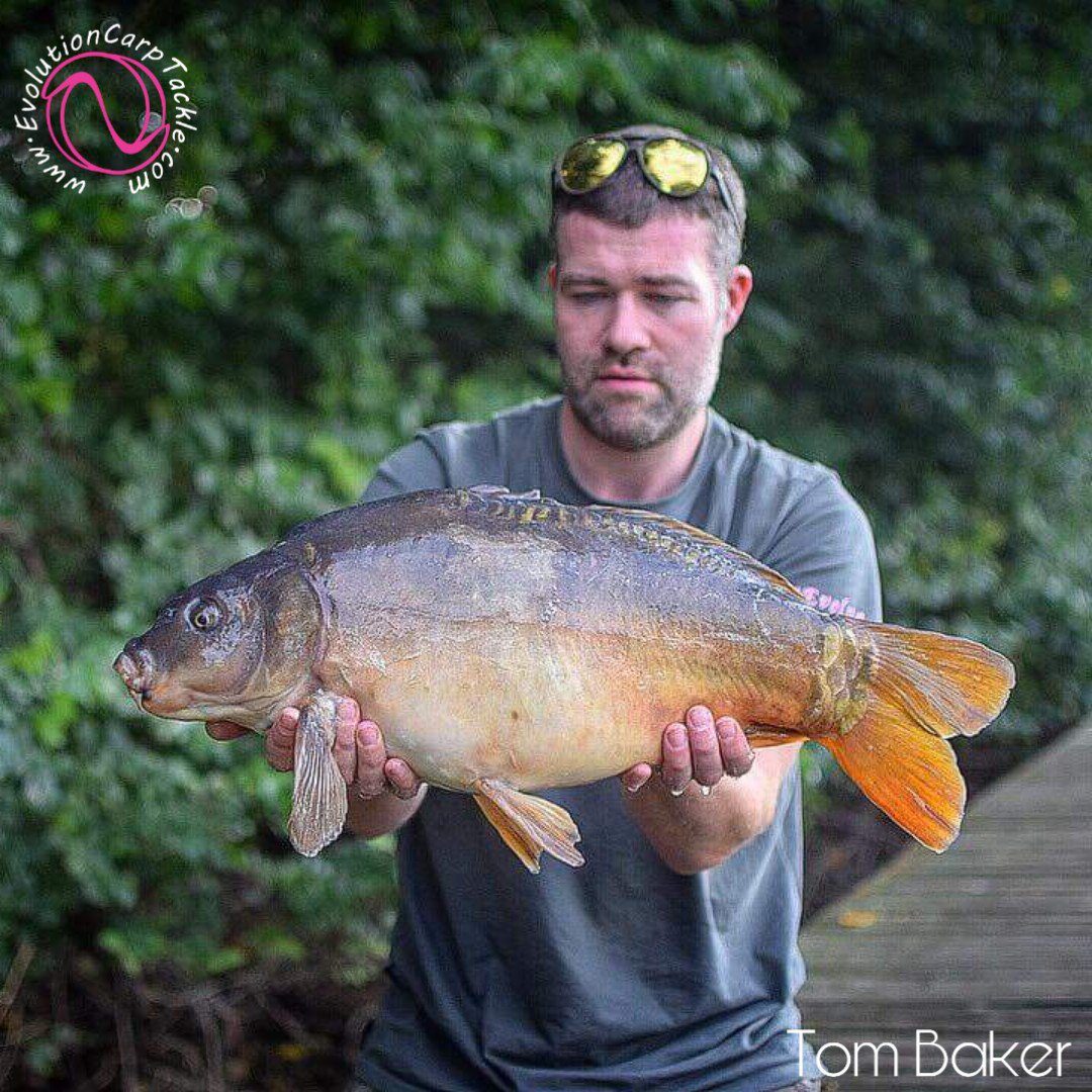 EvoCarpTackle's tweet photo. A couple of carp caught and a few pictures by team member Tom Baker on the recent Evolution Carp Tackle social.
https://t.co/pJQKNvDNOj #EvolutionCarpTackle #Evolve® #ArtificialBaits #NSR® #TotalFishCare #BioSecutity #LastElementsRange #TeamEvo https://t.co/jtqaW6TYBi