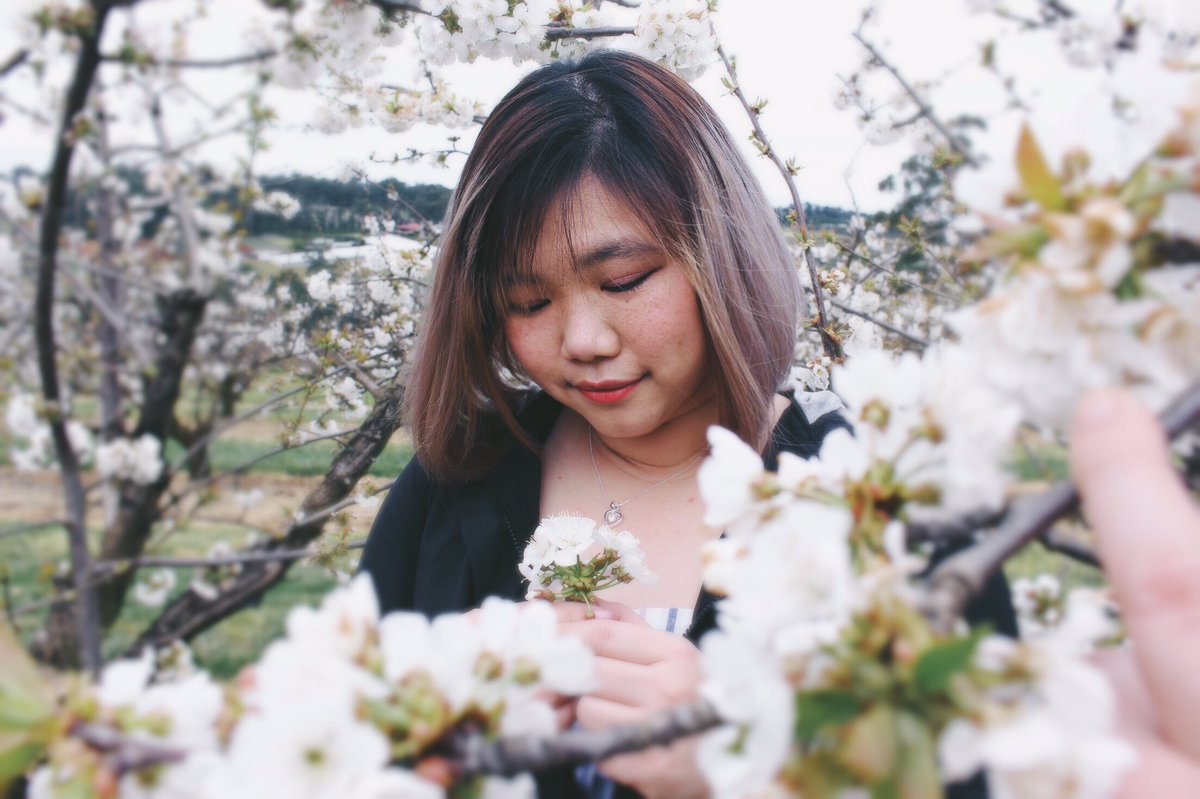 trislynnchan's tweet photo. When the cherry blossoms start blooming 😍 我太喜欢这一次拍的照片了！ https://t.co/HjUd5r8sS8