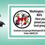 Photo by DC BATs (@BATs_DC)