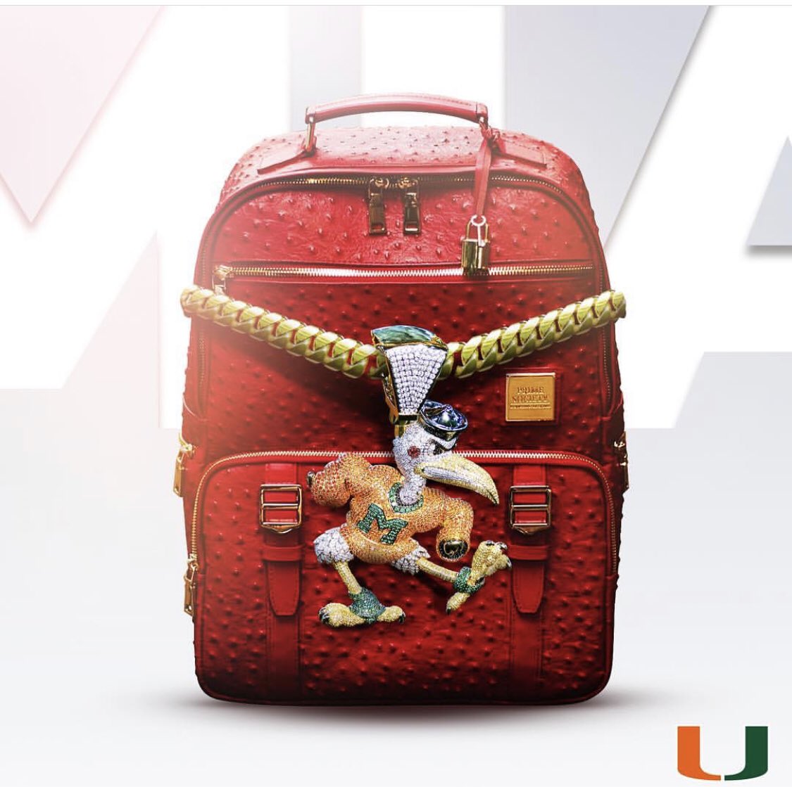 Isabel1170's tweet photo. Donโt mock our fans and players and disrespect our house. #TheU #GoCanes #TurnoverChain #TurnoverBackpack #DoraTheExplorer https://t.co/GBkGPdAkpL