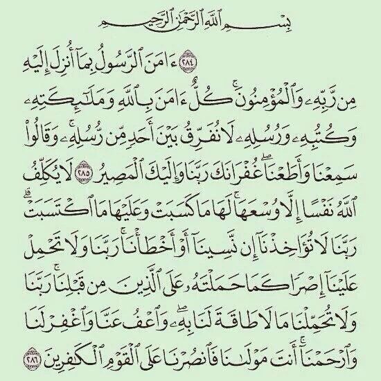 إلياس tweet media