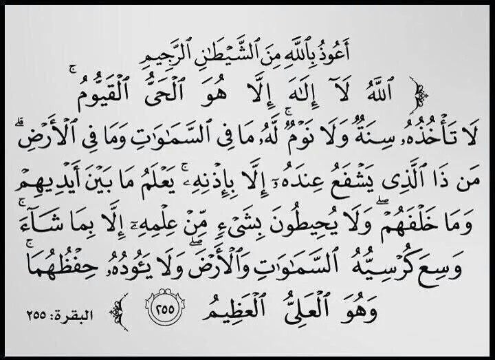 إلياس tweet media