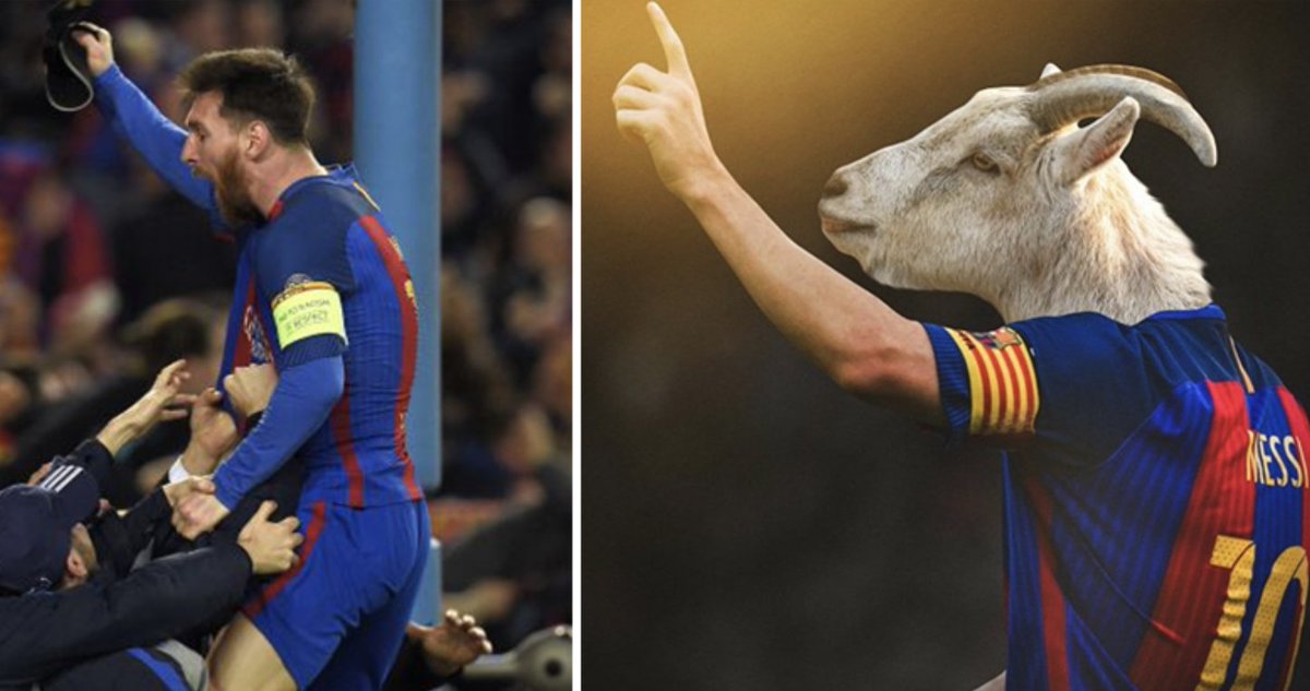 SPORTbible tweet media