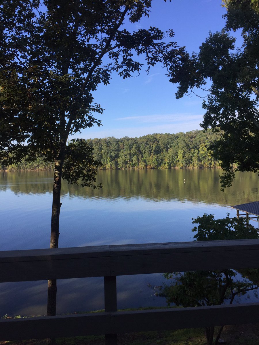 Melisa Vines tweet media