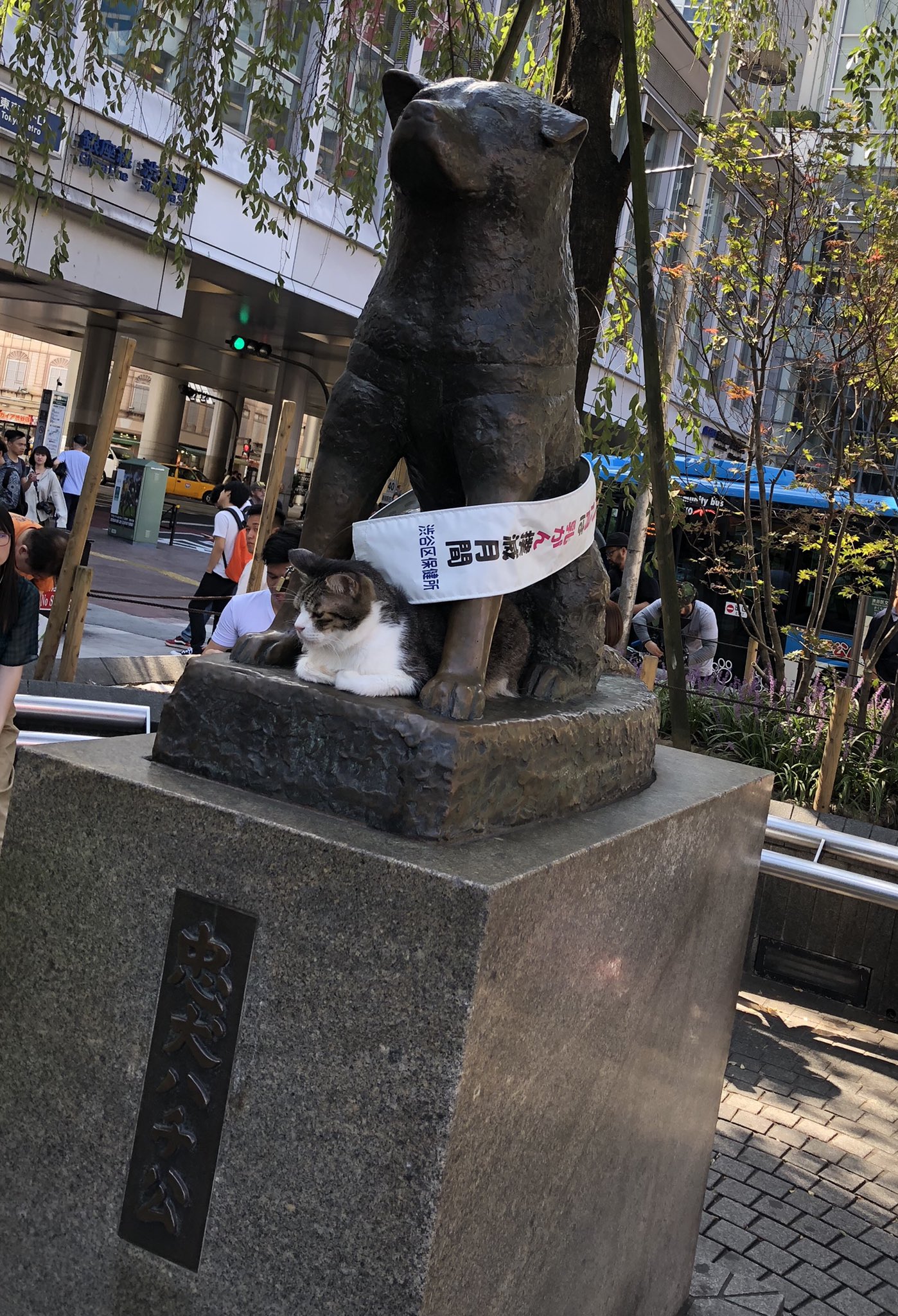 Ray 今日はなかなか暑い この前の石垣島くらいの気温 さて 今日も生き抜く だから今からランチにする ところで 渋谷 の忠犬ハチ公像には猫がいた 渋谷 忠犬ハチ公 Hachi ハチ公 猫 ハチ公と猫 T Co Zpkubavrwz Twitter Ray 今日はなかなか暑い この前の石垣島くらいの気温 さて 今日も生き抜く だから今からランチにする ところで 渋谷 の忠犬ハチ公像には猫がいた 渋谷 忠犬ハチ公 Hachi ハチ公 猫 ハチ公と猫 T Co Zpkubavrwz Twitter