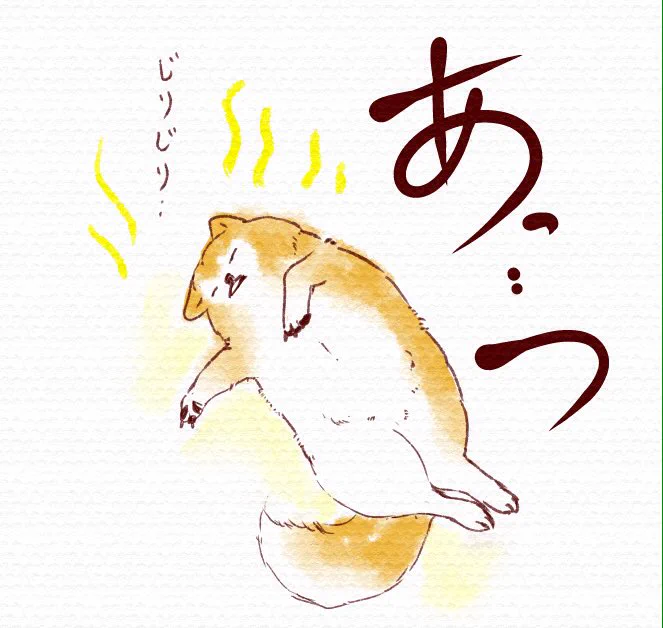 暑すぎです… 