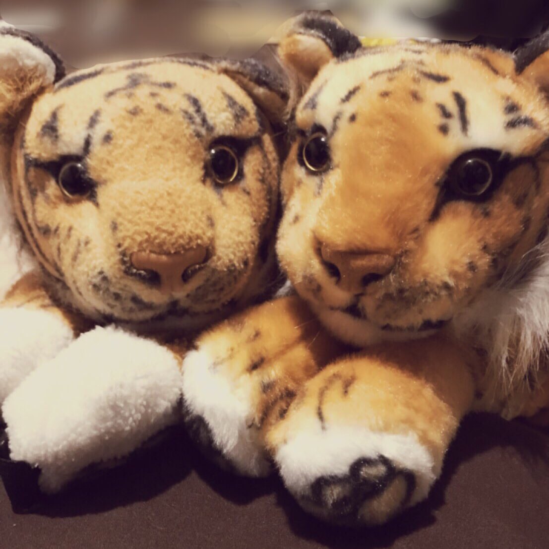 juniasense's tweet photo. そか、(元？)カイシャの先輩と話してようやく気付いたけど、
トラ2匹抱えて歩いてるやつは「やばい」のか！
いっしょにはたらいてたチーム���みんなもカイシャのみんなも可愛がってくれてるから何も考えてなかったやばいか

👤アンソニーさんとステファニーさん https://t.co/xnpkvgfLKq