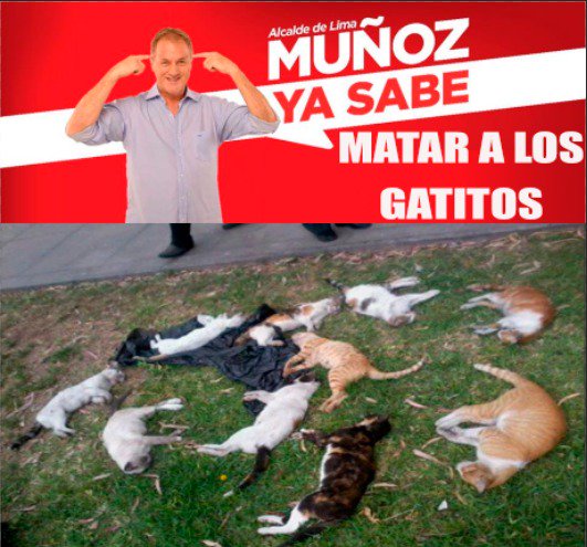 davidar59340788's tweet photo. #muñoz #colorao #novotespor #reaccionalima #elmatagatos #elseñordelosportales https://t.co/8PDCbX54Xc