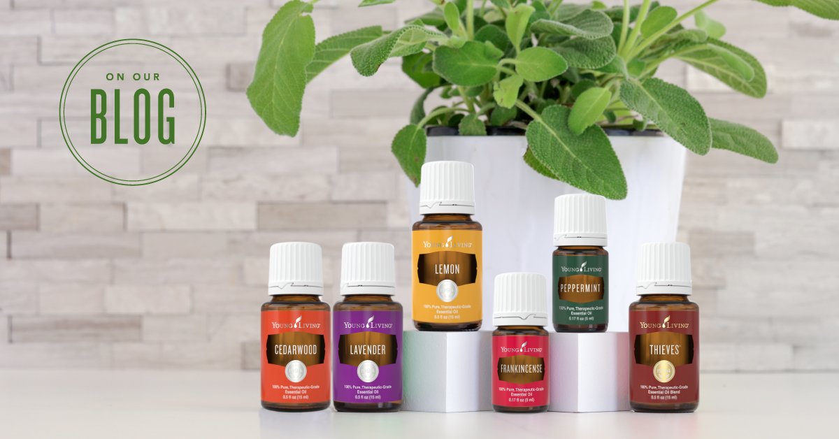 youngliving's tweet photo. These 6 #EssentialOils are must-haves! Read more: https://t.co/2CHgKZpFpn #yleo https://t.co/TaE4vMG22v