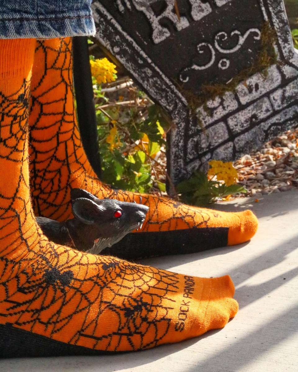 TheSockPanda's tweet photo. Its almost Halloween! What costume are you wearing this year? 
•
•
•
•
•
#halloween #socksofinstagram #fun #rats #scary #life #sockssubscription #instasock #instagood #instagramhub #picoftheday #sockgame #sotd #ootd #webs https://t.co/KtDm82oDoe