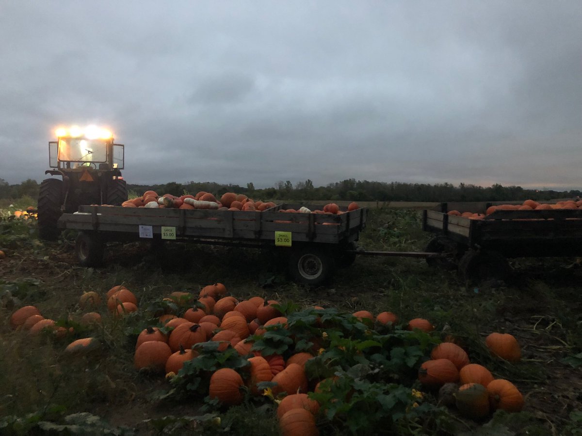 robertreese_4's tweet photo. Truck would not make it into the pumpkin patch. Had to go back and get the tractor #Mud18 https://t.co/b6yC1cEtx8
