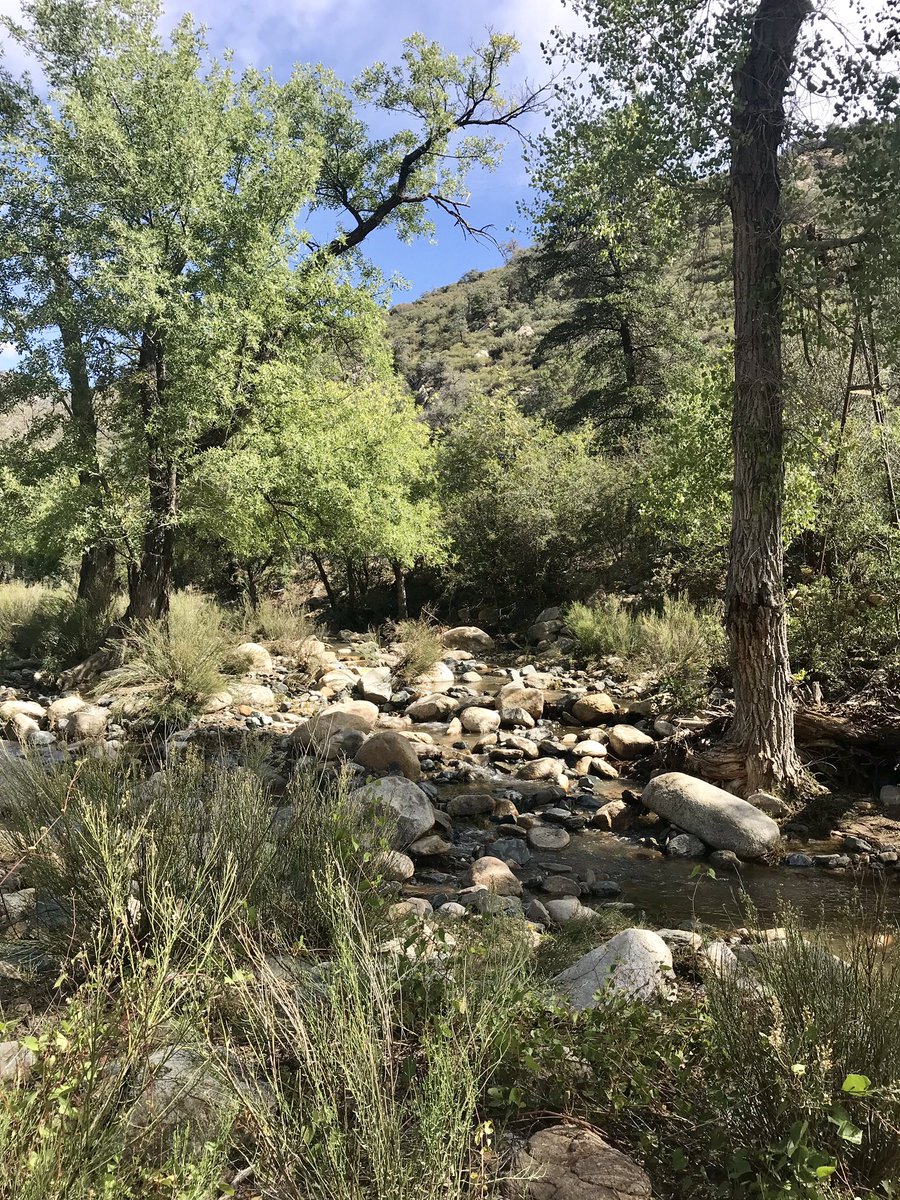 BrigetteDP's tweet photo. Great day with members of the Town of Gilbert 4 wheelers club! Past & present employees from many different departments having fun in the outdoors on the backroad to Crown King! #LifeInGilbert #GilbertWellness https://t.co/acOItZRj7g