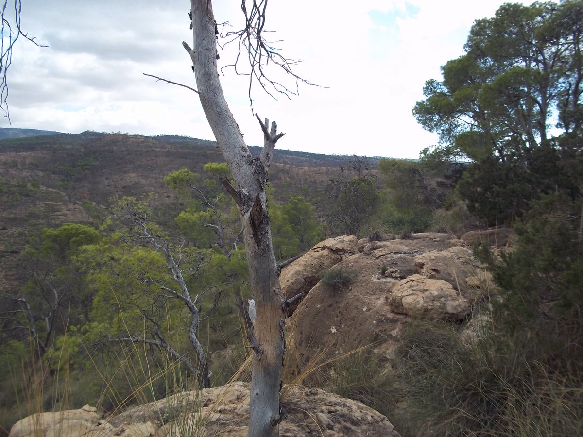 SmidaSamali's tweet image. 