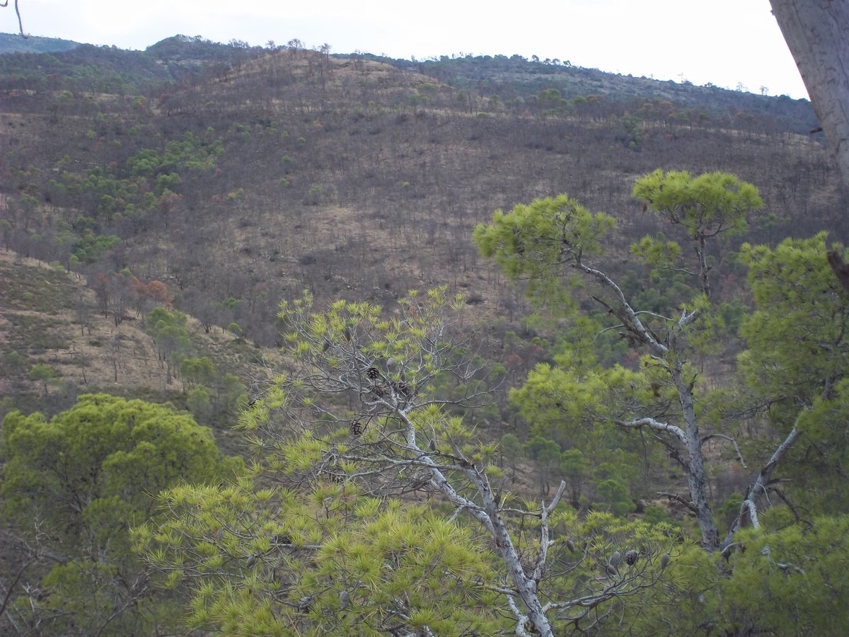 SmidaSamali's tweet image. 