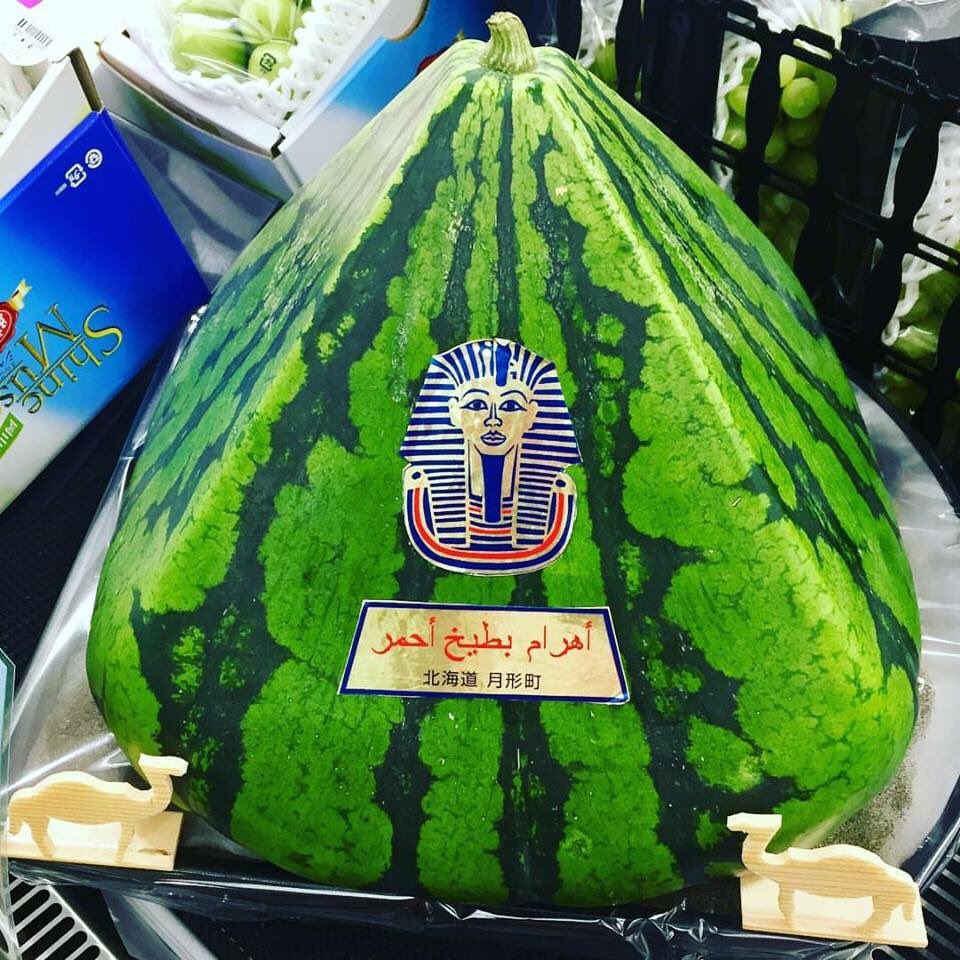 月形町地域おこし協力隊 ツイート拝見しました このスイカの産地である北海道月形町 の地域おこし協力隊です 来年はぜひこのスイカを見に月形町にお越しください 町民一同お待ちしております