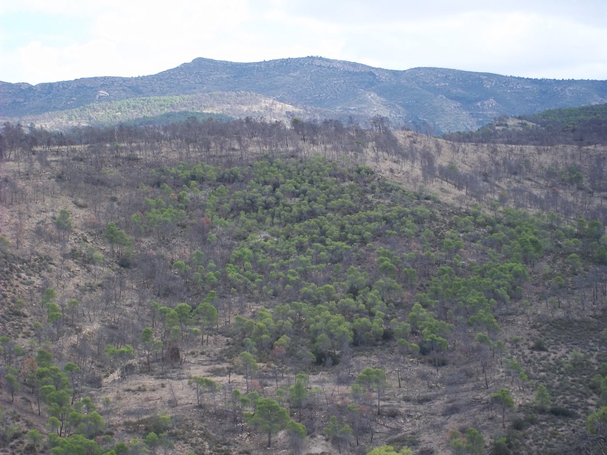 SmidaSamali's tweet image. 