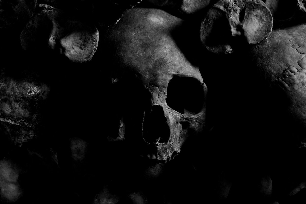 Newcastle_Fear's tweet photo. We are open tonight, but we are going to be keeping an eye on the weather. #newcastlenightmare #hauntedtrail #zombiehunt #graveyard https://t.co/eRdxFI69so