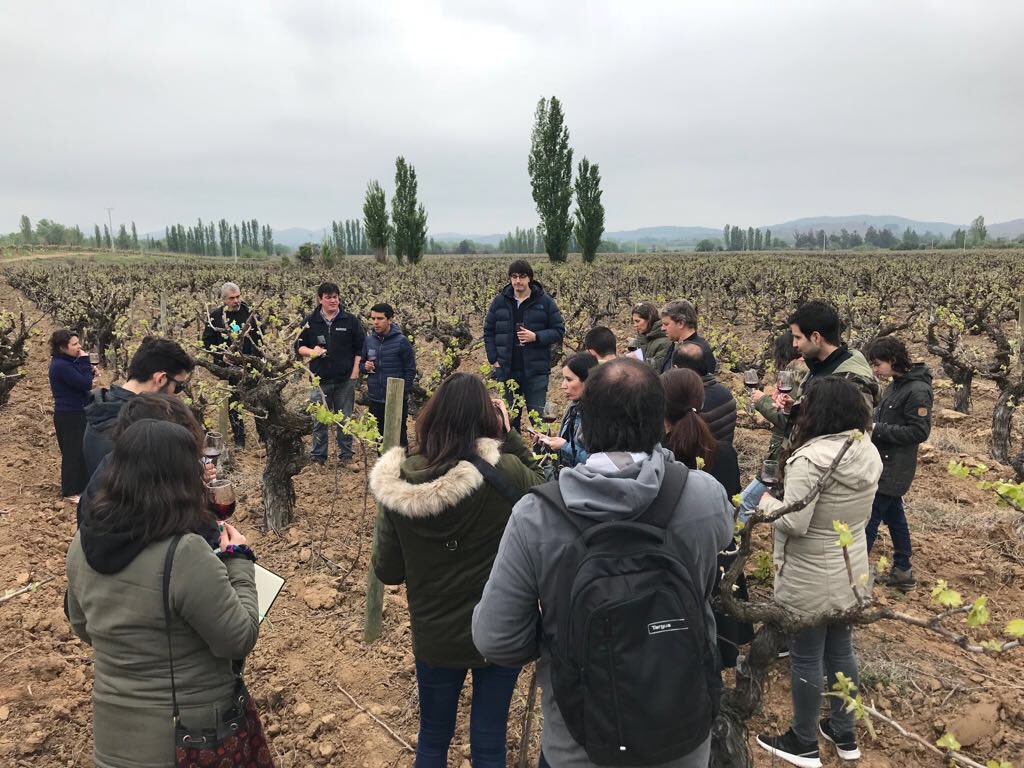 BalduzziWines's tweet photo. Muy agradecidos de la visita y la buena onda de la Asoc de Sommeliers! Visitamos nuestros viñedos en la zona de Melozal donde pudieron ver nuestras parras patrimoniales de Carignan de donde viene nuestro #ViejoEncachao

@EscSommelierCL  @ChileEnoturismo https://t.co/bFMPiV81Xv