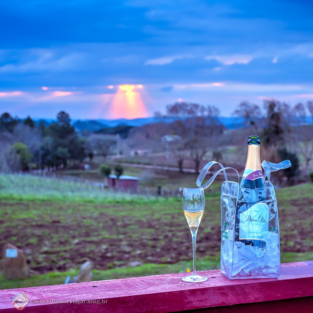 Comer Dormir Viajar tweet media