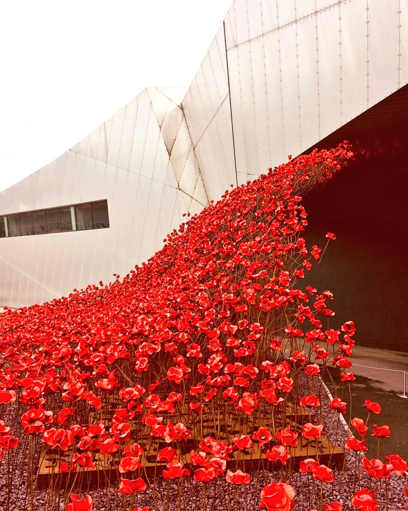 sseallaph's tweet photo. Catching the Wave, Ceramic Poppies, Paul Cummins and Tom Piper, IWM North, The Quays, Stretford
*
#onepoppy #onelifelost #neverforget #paulcummins #tompiper #1418now #imperialwarmuseumnorth #manchester #manchestershipcanal #traffordpark #traffordwharf #daniellibeskindarchitect https://t.co/RTDGFmac72