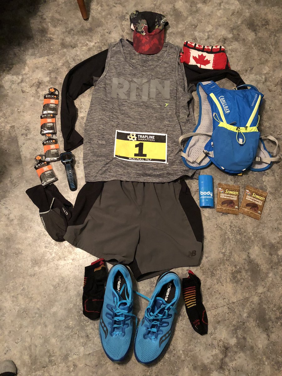 RobinGambin's tweet photo. Flat Robin all ready for tomorrow’s Trapline Marathon. 

Weather is going to be cold to start but I’m looking forward to the cool temperatures. 

#runfulltilt https://t.co/EoJIbttVwd