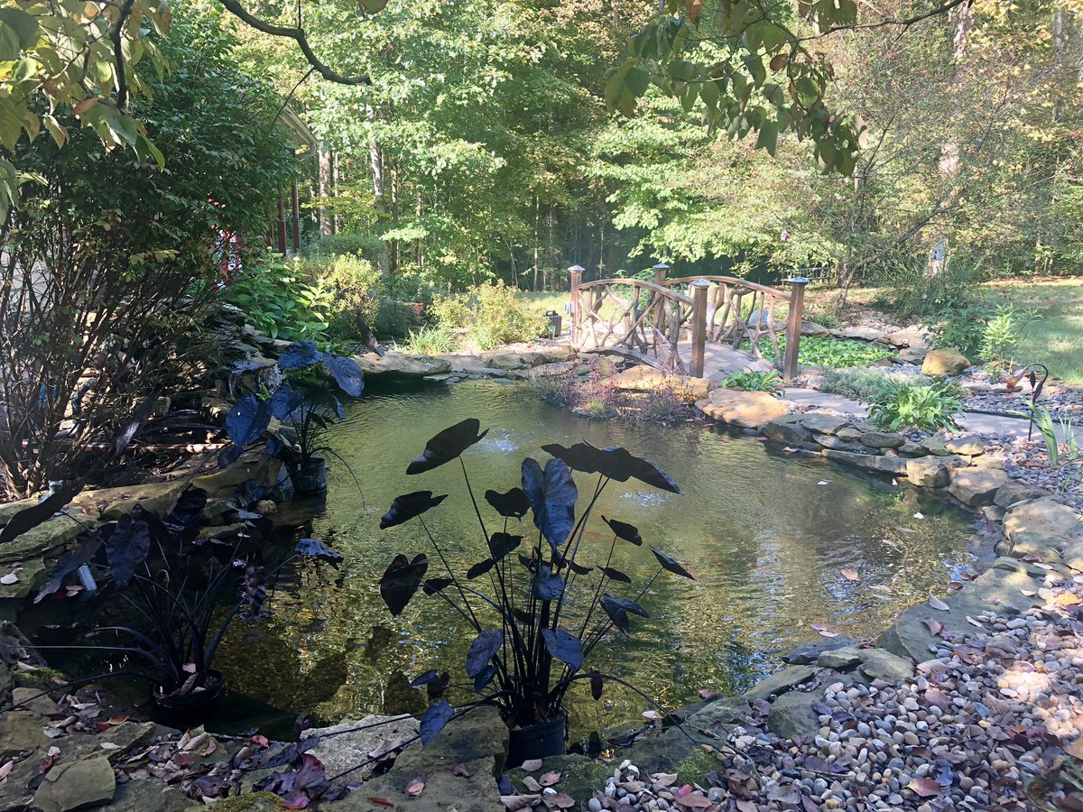 It was a perfect morning to service this custom 4500 gallon koi pond.