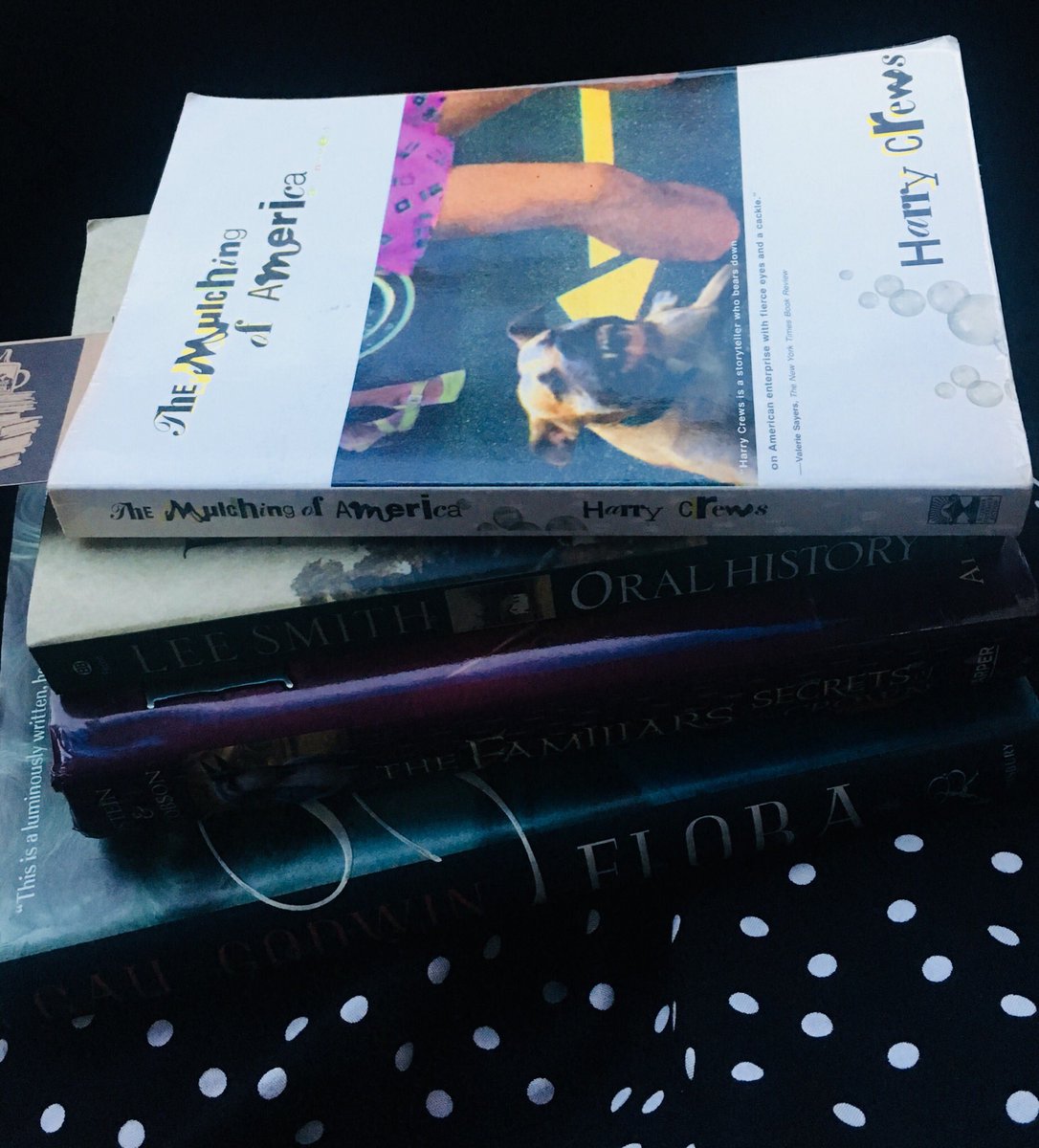 mgnlcs's tweet photo. When your date night ends up at a bookstore - you know he’s a keeper. Downtown Books Asheville #amreading #marrieddate https://t.co/CXL4vaP79v