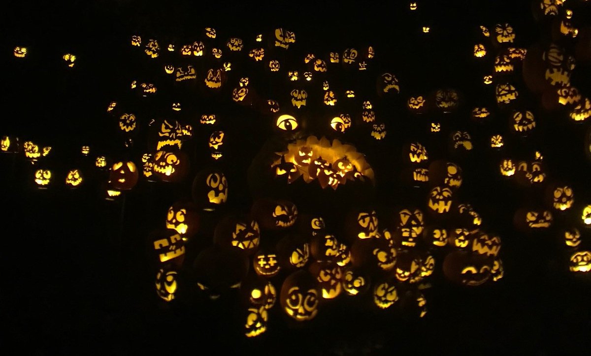 mnzoo's tweet photo. For those heading to Jack-O-Lantern Spectacular tonight please note - the line is long, but it's worth the wait! Before you hit the trail, grab some food, watch the pumpkin artists, or ride the carousel. There is plenty to do! #pumpkins5000 https://t.co/orrDUsiNCs